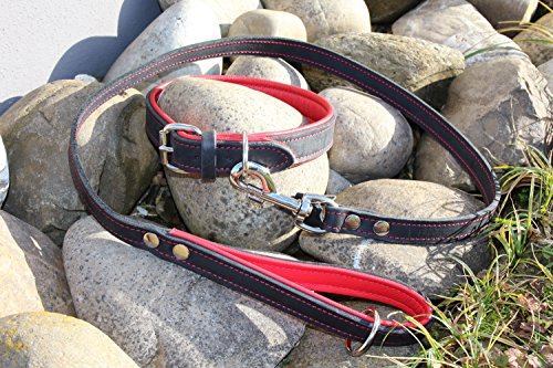 Activity4Dogs Luxus Hundehalsband aus Leder | für (mittel) große Hunde | 2,5 cm breit | gepolstert | 5-Fach verstellbar | Made in Germany | Echt-Leder Größe M1 schwarz-rot