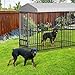 8 * 4 * 6FT Outdoor Dog Kennel for Large Dogs, Heavy Duty Welded Wire Steel Dog Playpen Fence with Secure Lock, Pet Pen with UV-Resistant Waterproof Roof Cover for All Dog Breeds, for Backyard