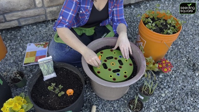 Herramienta para espaciar semillas Seeding Circle miniatura 7