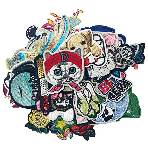 Flyyee 50pcs Random Assorted Styles Iron On Patches Embroidered Patch Sew On Patches Set, Patch Applique Assorted Size for Backpacks,Clothing, Jackets (Random Assorted Styles)