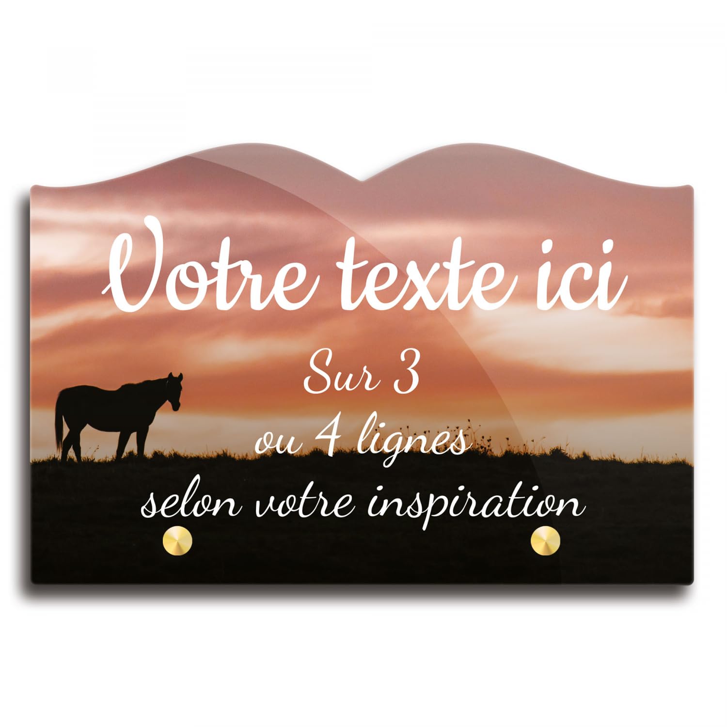 Placa funeraria Libro personalizable en plexi con diseño de silueta de caballo, diferentes tamaños, grosor 6 mm, personalizado en varias líneas 22x15 cm
