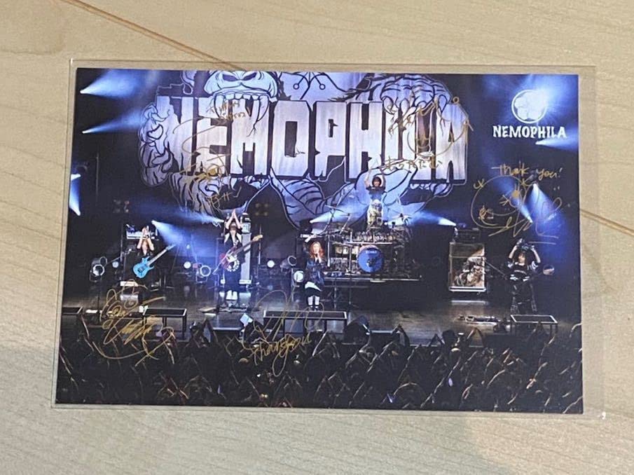 Amazon.co.jp: NEMOPHILA TOUR 2023 Seize the Fate サイン ポスト