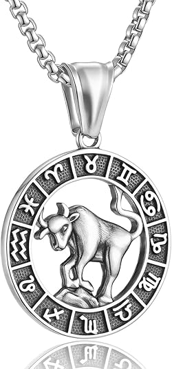 Zodiac Sign Necklaces for Men Women Stainless Steels Leo Libra Aries 12 Constellation Pendant Necklace Astrology Jewelry Birthday Gift