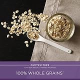 Quaker Oats Gluten Free 1-Minute Quick Oats, Breakfast Cereal, 18 Oz