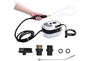 2500W Steamer for Window Tint Removal