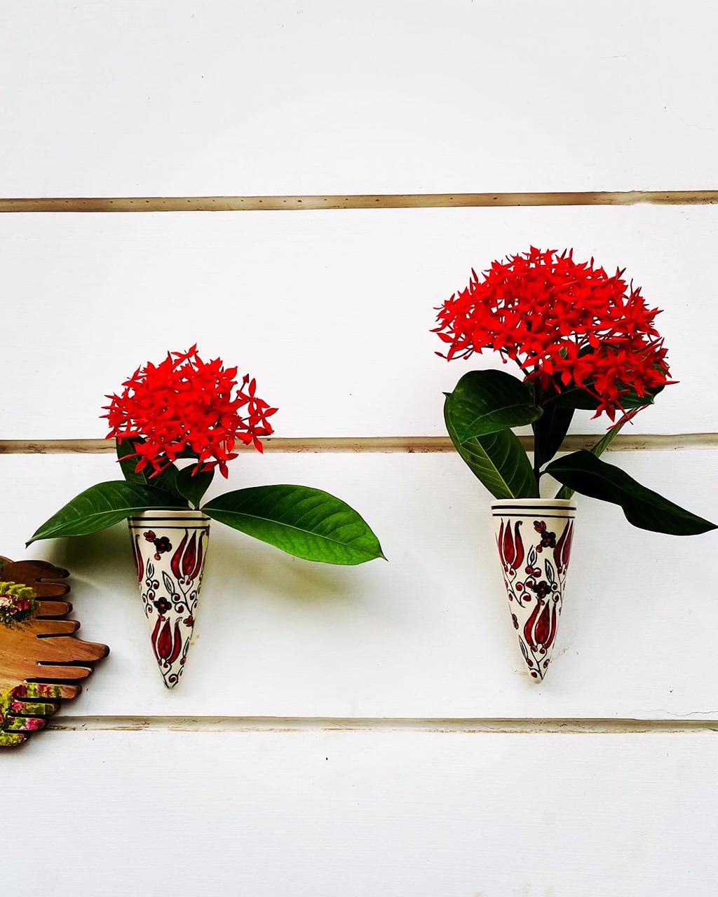 Wall Planter (conical). Aquatic Planter (Set of 2), (Minimum Prices) Hand Printed and Perfect for Outdoor and Indoor Decor (B09H47DTY6) Amazon Price History, Amazon Price Tracker