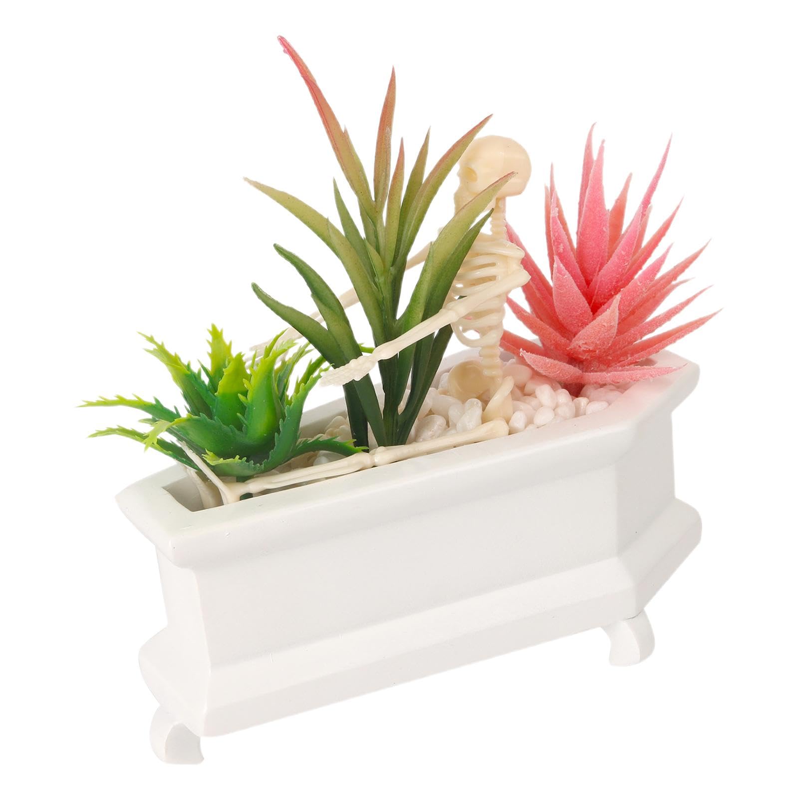Coffin Skeleton Artificial Plants - Skull Decorative Pot with Succulent Plants  Coffin Pot Cover with Skeleton | Artificial Skull Plant for Top :  Amazon.com.be: Garden