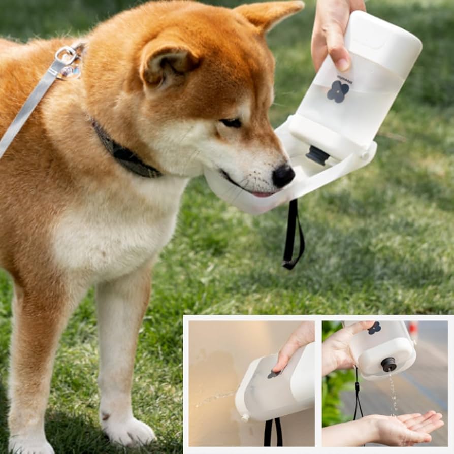 犬用 水飲み器 給水ペットボトル 散歩グッズ 給水器 水筒 食皿 Amazon | 犬用 水飲み器 給水ペットボトル 散歩グッズ 給水器