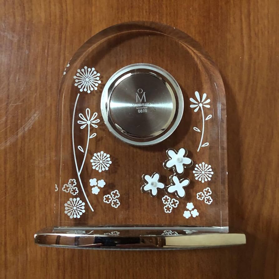 61sCc6Rr1rL._AC_UF894,