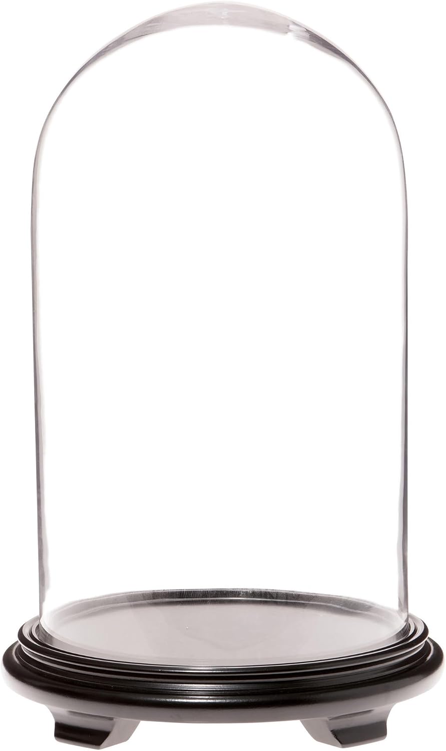 Plymor 11.75" x 20" Glass Display Dome Cloche (Walnut Wood Veneer Footed Base)