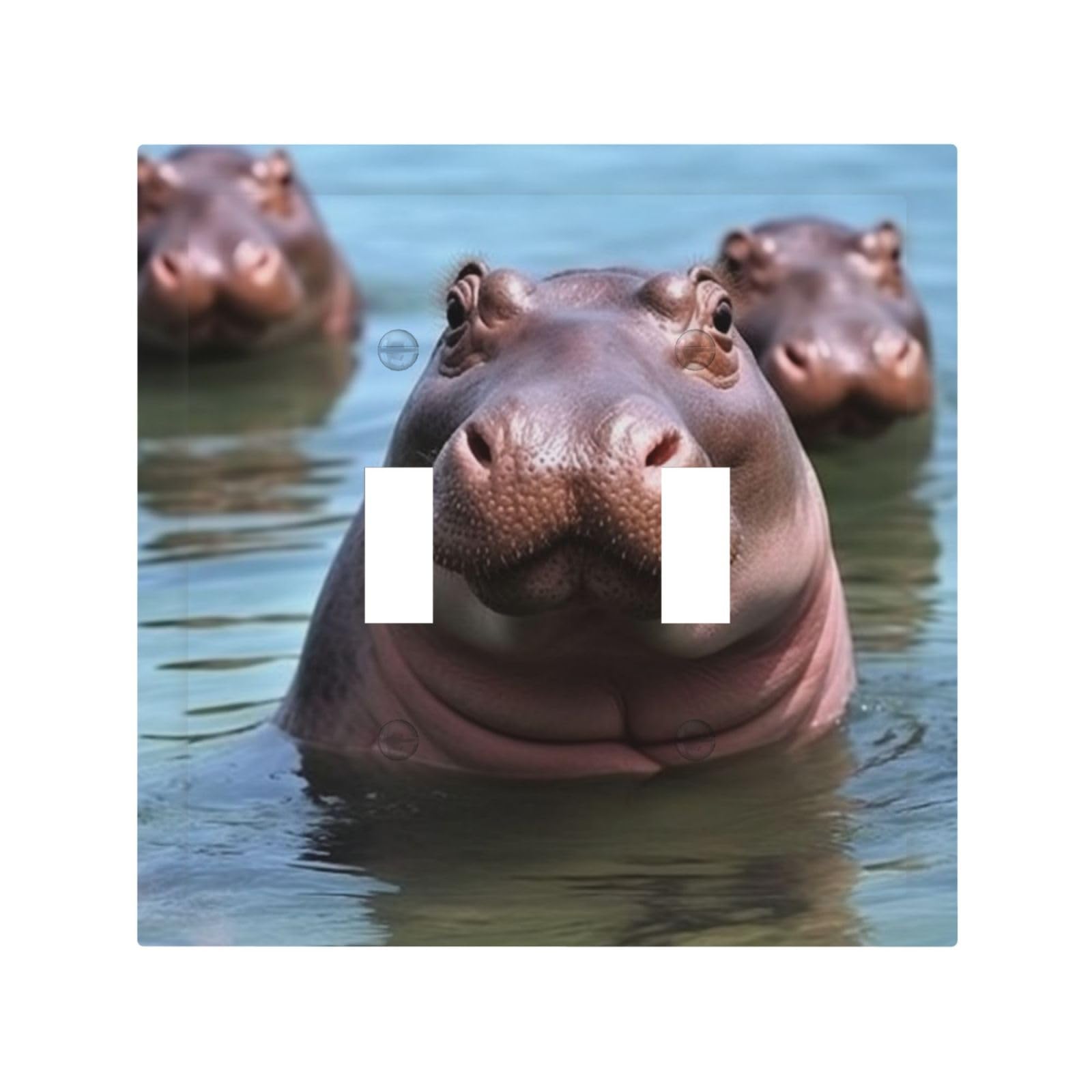 2-Gang Decorator Wall Plate Cute Hippos Light Switch Cover Double Toggle Receptacle Wall Plate Mid Size 4.9" x 5" Wallplate Unbreakable Polycarbonate Outlet Faceplates Covers