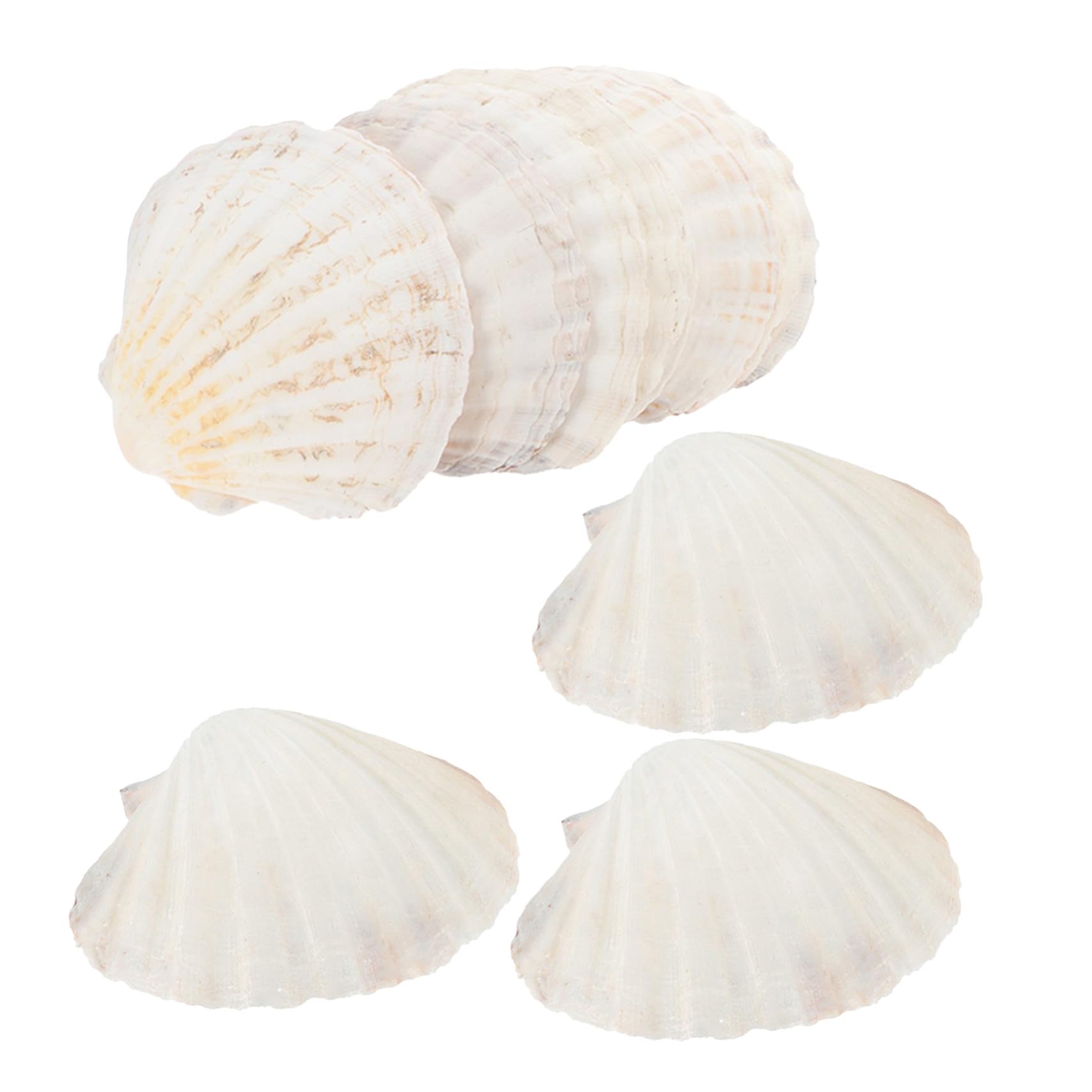 20 Piezas Naturales Resistente al Calor para Hornear y Servir Mariscos Utensilios Reutilizables para Cocina y Barbacoa para Reuniones y Decoración Creativa