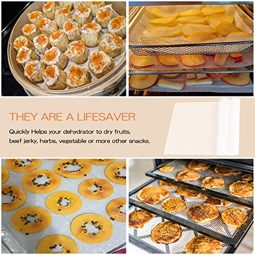(12 Pack) Silicone Dehydrator Sheets, Dostk Premium Non Stick Silicone Mesh For Fruit Dehydrator, Dehydrator Tray Liner Reusable (14 X 14 Inch) #TOP5