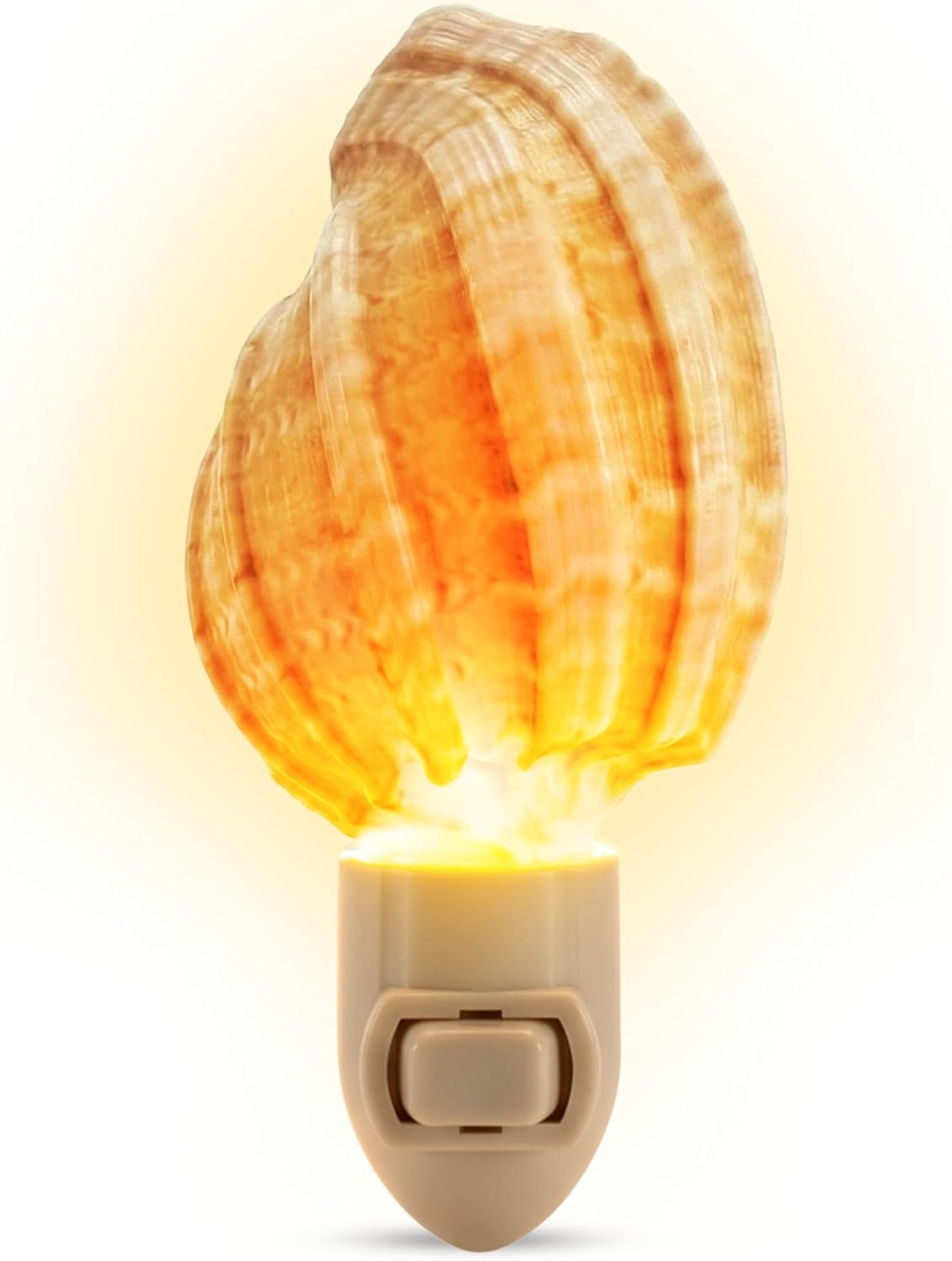 Nautical Crush Trading Seashell Night Light – Beach Night Light with Harpa Shell Light for Bathroom – Sea Shell Lamp – Seashell Lamp Plug Into Wall