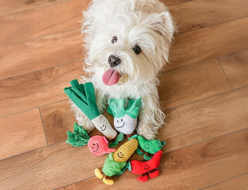 Plush Vegetable Dog Toy with Built-in Squeaker, Soft Interactive Chew Toy for Dogs, Stuffed with PP Cotton for Fun Playtime (Shiitake Mushroom)