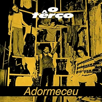 Adormeceu