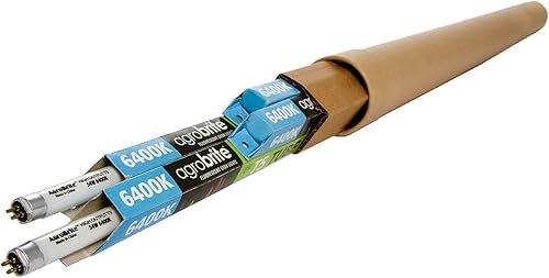 Hydrofarm Bombillas de 6400 K, paquete de 4 bombillas FLT5464 de 4 pies y 54 vatios T5 AgroBrite de repuesto fluorescente, luz diurna de 4 pies,