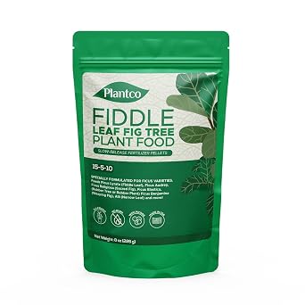 Fiddle Leaf Fig Tree Plant Food - Fertilizer Granules Feed Continuously for 6 Months | NPK 15-5-10 Slow-Release Fertilizer for Potted Fig Leaf and Ficus Plants