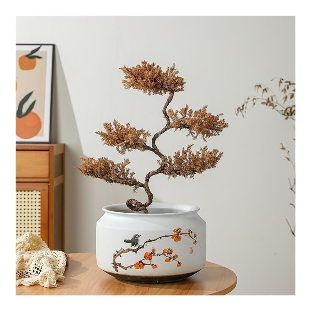 Doniczka Doniczka ceramiczna na sukulenty i orchidee do użytku wewnątrz i na zewnątrz z otworem drenażowym