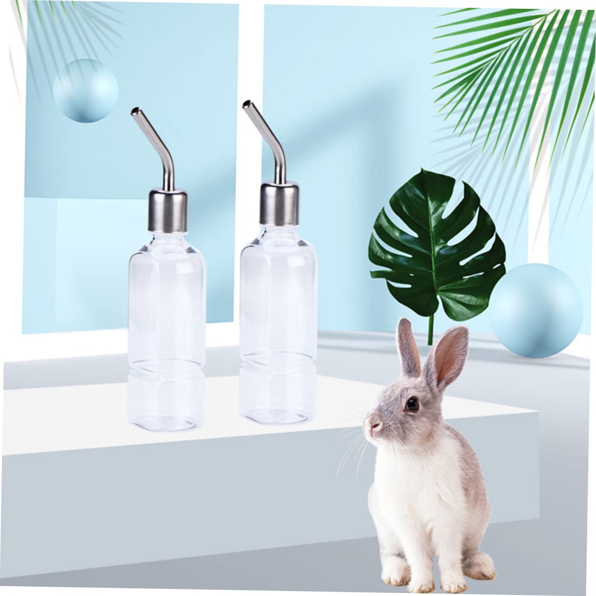 6pièces Bouteille Eau pour Petits Animaux Distributeur Eau pour Hamster Et Rongeurs Anti-Fuite Et Transparent Lot