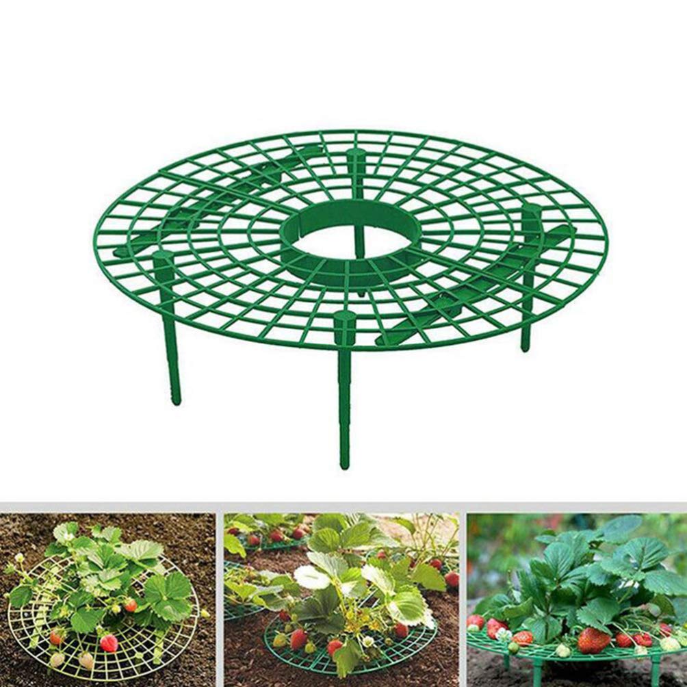 OSKOE Lot De 6 Supports De Fraises En Plastique For Garder Les Fruits élevés For éviter La Pourriture Du Sol, Support De Fraises For Le Jardin ( Vert