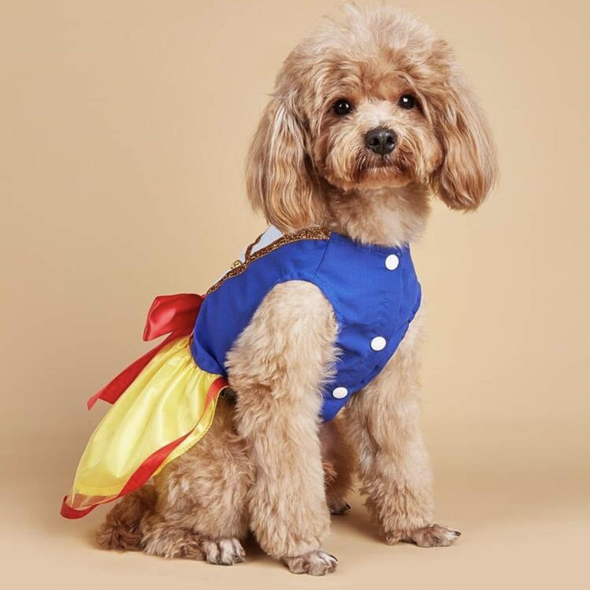 Amazon.co.jp: 犬服 ワンピースMサイズ 韓国直輸入 中型犬 小型犬  