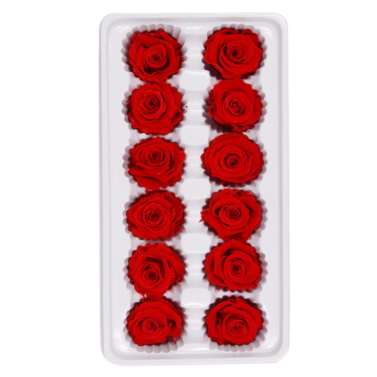 Rosas preservadas rojas HINTRMENT de 3-4 cm para decoración DIY