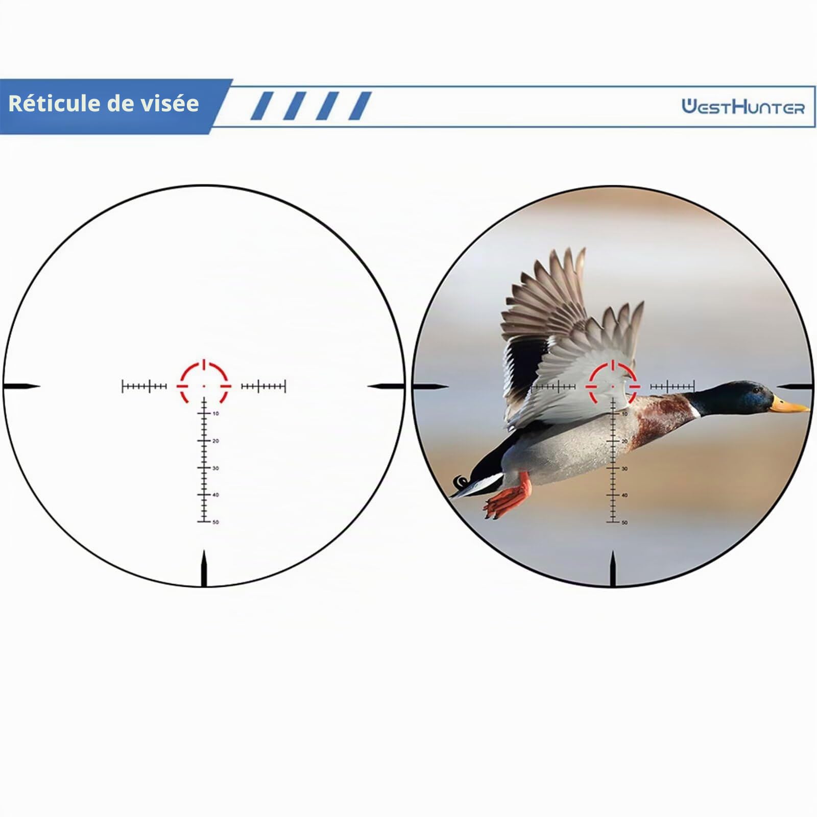 WestHunter Optics HD GEN2 1-10 x 24 IR LPVO Viseur télescopique, second plan focal (SFP), tube de 30 mm, grille éclairée, réglage 1/4 Moa de précision, indiqué uniquement pour les activités sportives