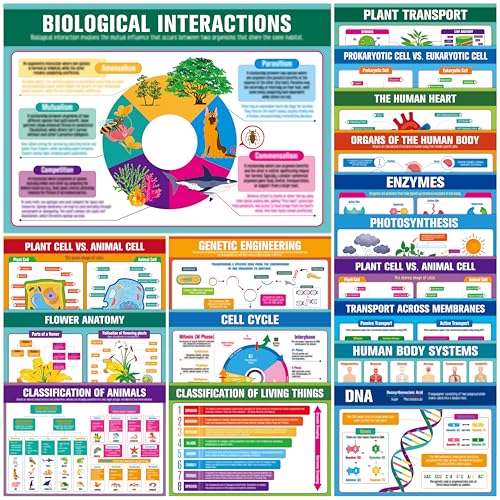 Image of 17 Laminated Biology Posters, Human Body System, Cell Anatomy, DNA, Photosynthesis, Educational Science Charts For Middle & High School, Learning Tool For Classroom, Bulletin Board, Room, 11 inchx16 inch