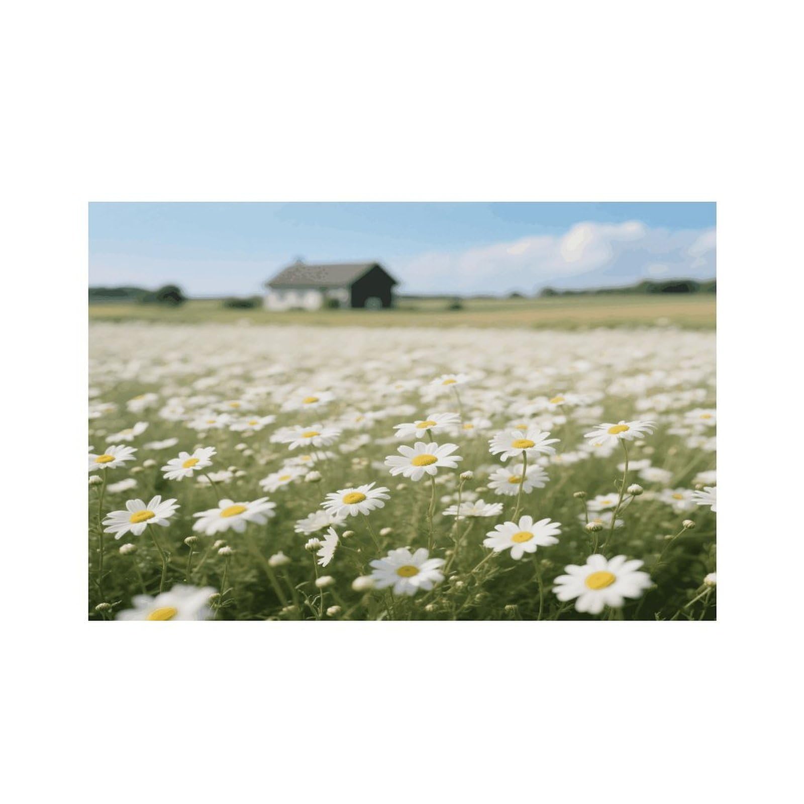Farm White Daisy Flowers Placemats Heat Resistant Non-Slip Place Mats Washable Wipeable Table Mat Kitchen Dining Table Decoration Placemats Indoor Outdoor Place Mats 17.7’’×11.8’’