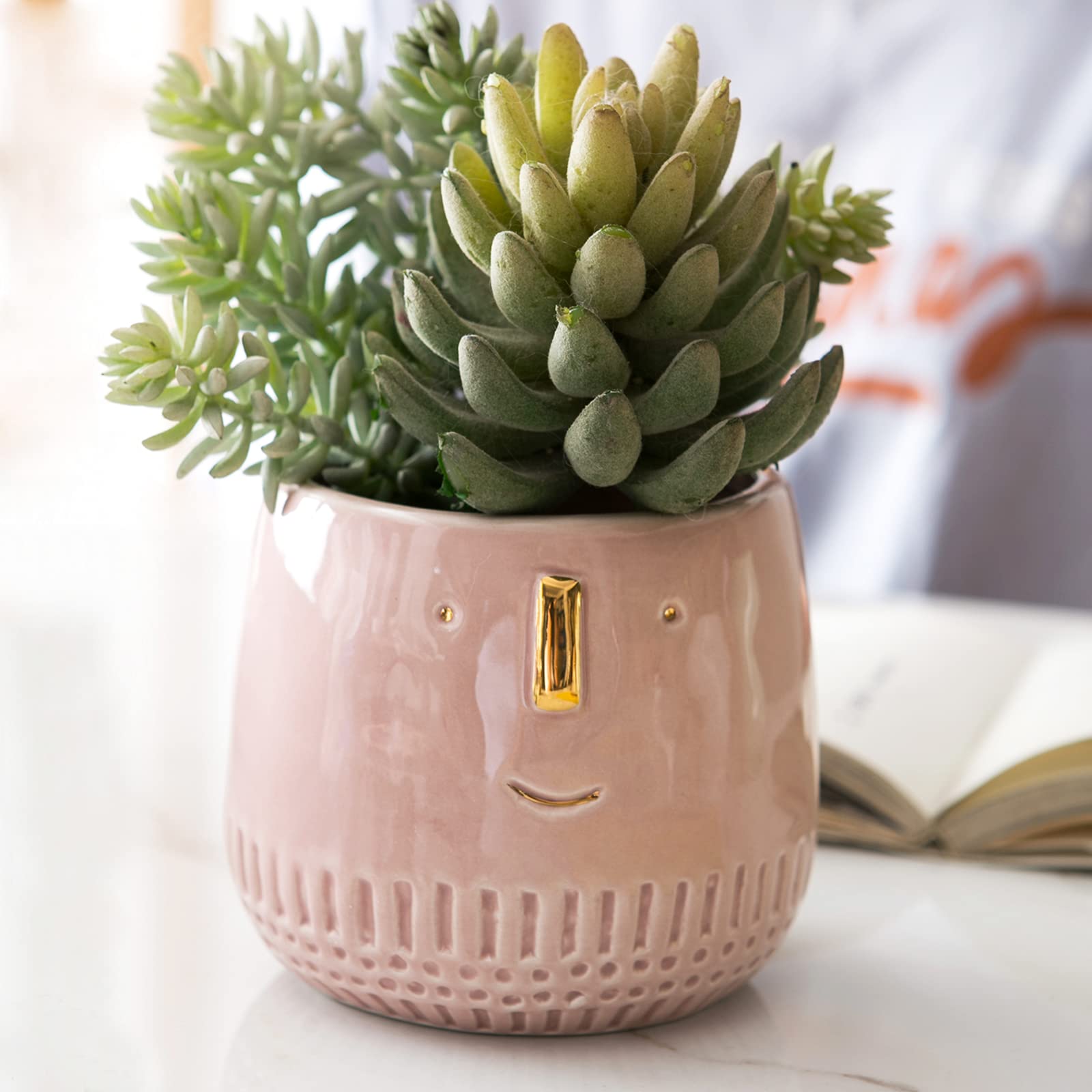 Banllis Ceramic Planter Pot Indoor Outdoor Flower Pots Excellent for Plants,Succulent Plants,Houseplants,Desk Plants,Cute Face Flowerpot - Pink