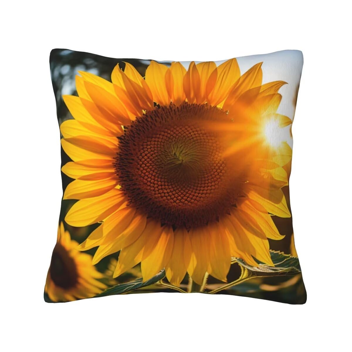 Federe Cuscini Divano 65x65 cm Set di 2 in Velluto Copricuscini Divano, Federe Cuscini Girasole Giallo Decorativi Cuscini per Divano, Federe Cuscino per Soggiorno, Camera da Letto Room Decor -TR218