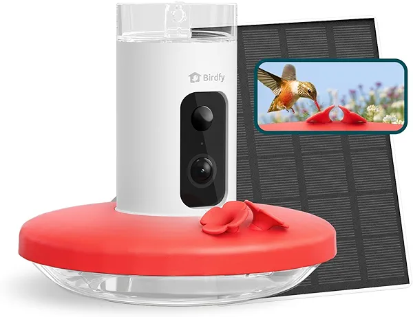 Birdfy Smart Hummingbird Feeder with Camera, Auto Record Bird Video, Instant Notification, Live View, Solar Powered Hummingbird Feeders for Outdoors Hanging, Ant Bee Proof, 14oz, Gift for Bi
