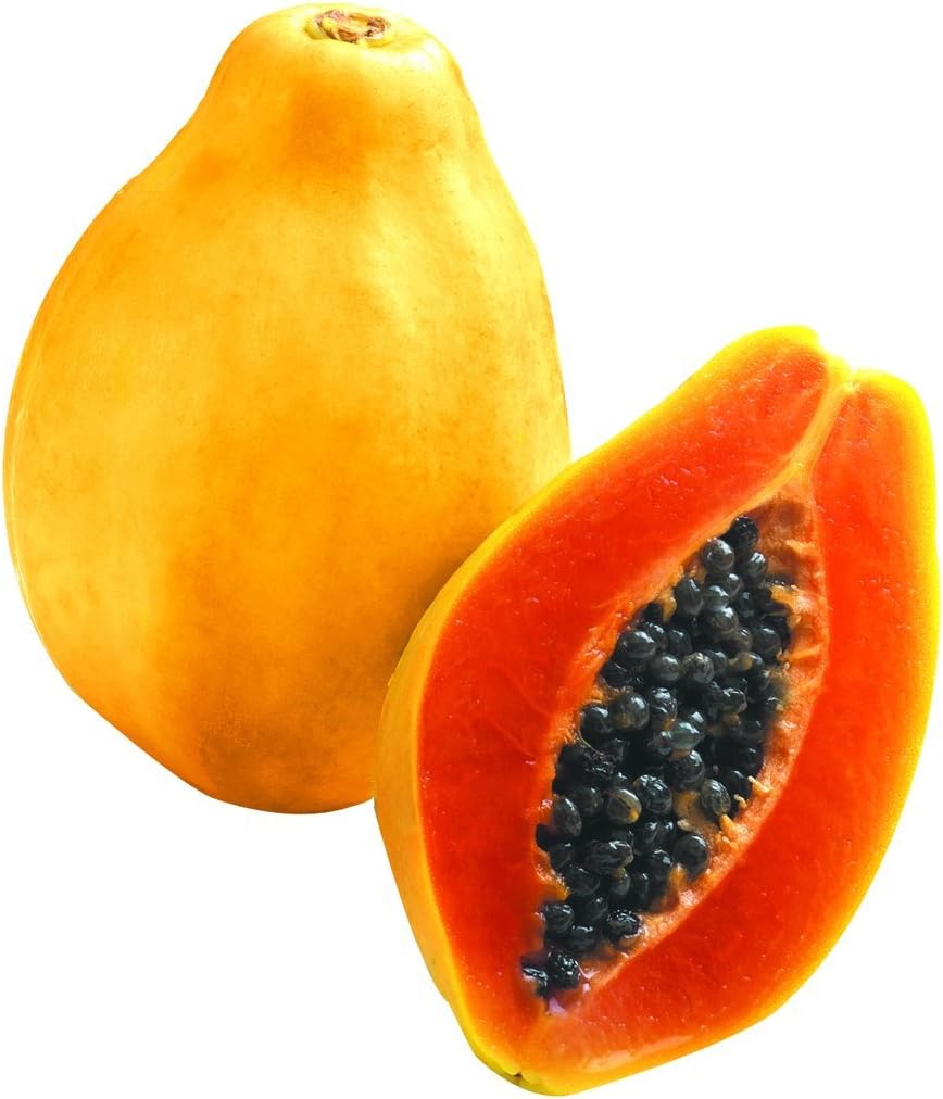 One Live Plant of Papaya TR Hovey Carica L. Caricaceae, Fruit Tree Plant, Starter Plant, About 6" ~ 8" Tall