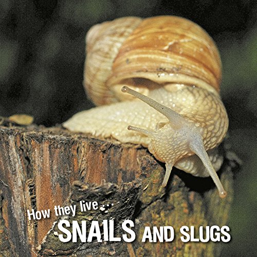 All About Snails And Slugs ZU VERKAUFEN! PicClick DE