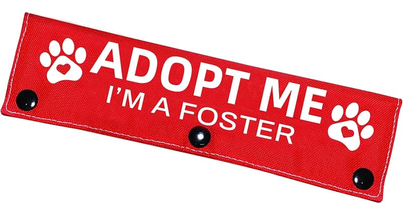 Faixa para Guia de Cachorro Advivio Adopt Me em Poliéster, Vermelha e Dupla Face, 1 Unidade