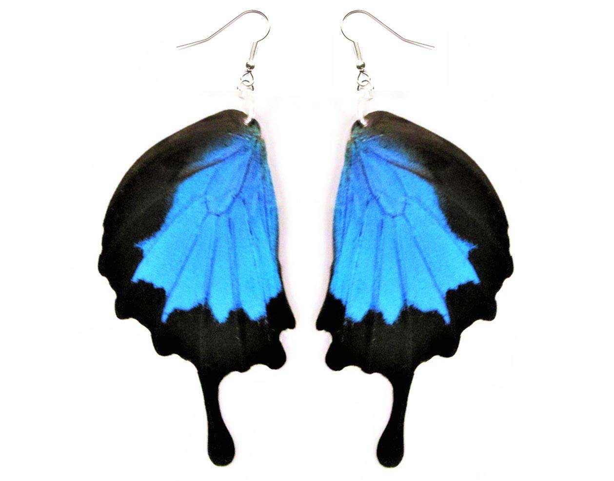 BicBugs Papilio ulysses hindwing blue black butterfly wing earrings