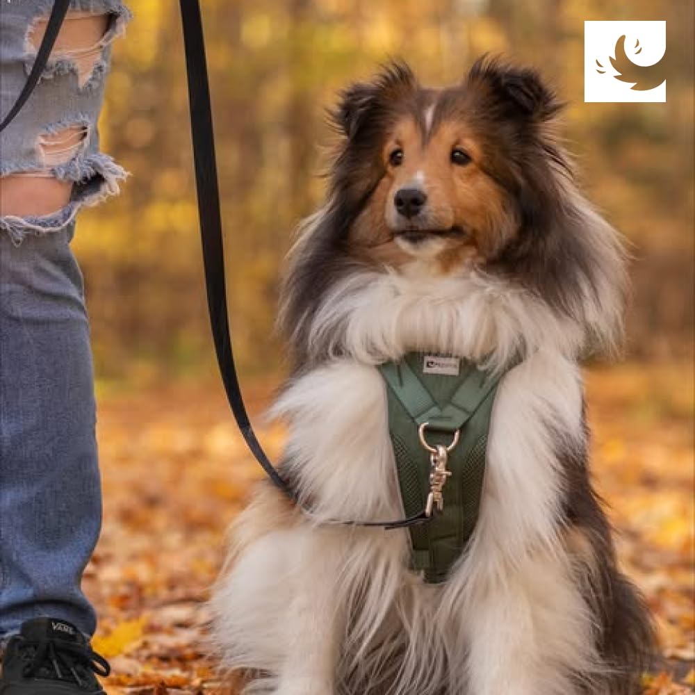 RC Pets Tempo - Arnés antitirones para Perro, Grande, Negro Jaspeado