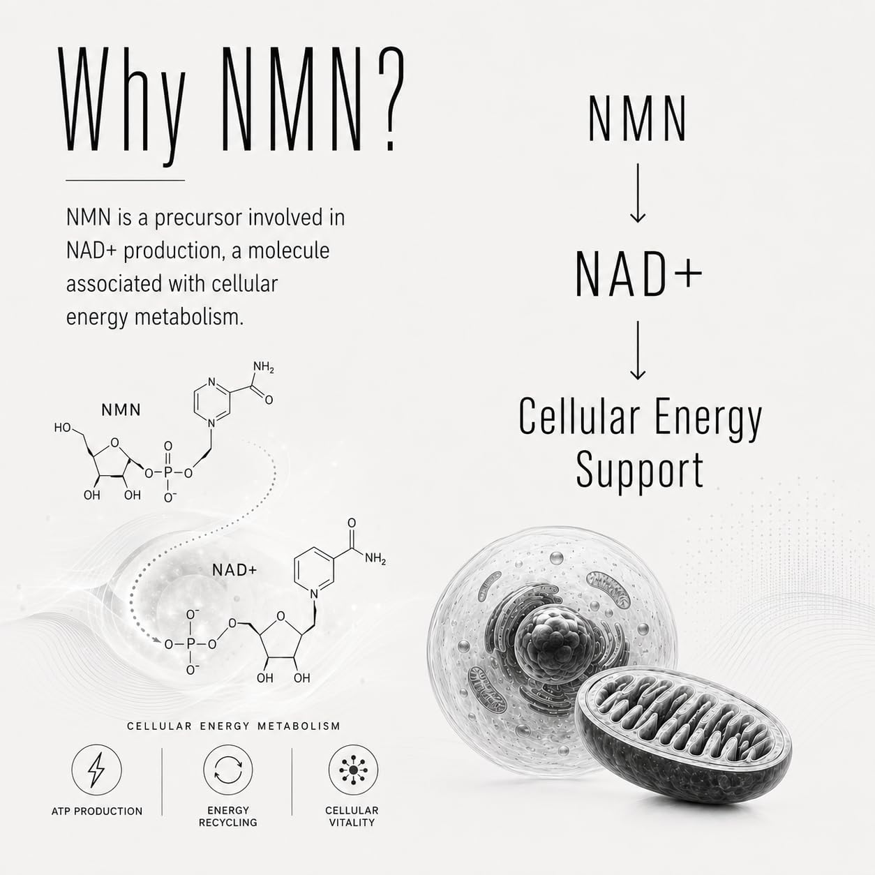NMN Supplement 1000mg Pure Nicotinamide Mononucleotide NAD+ Precursor Supports Mitochondrial Function, Cellular Energy & Healthy Aging 120 Capsules 60 Servings — Amazon image 3