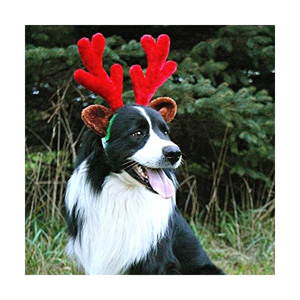 Midlee christmas reindeer antlers with ears for large dogs - image 5