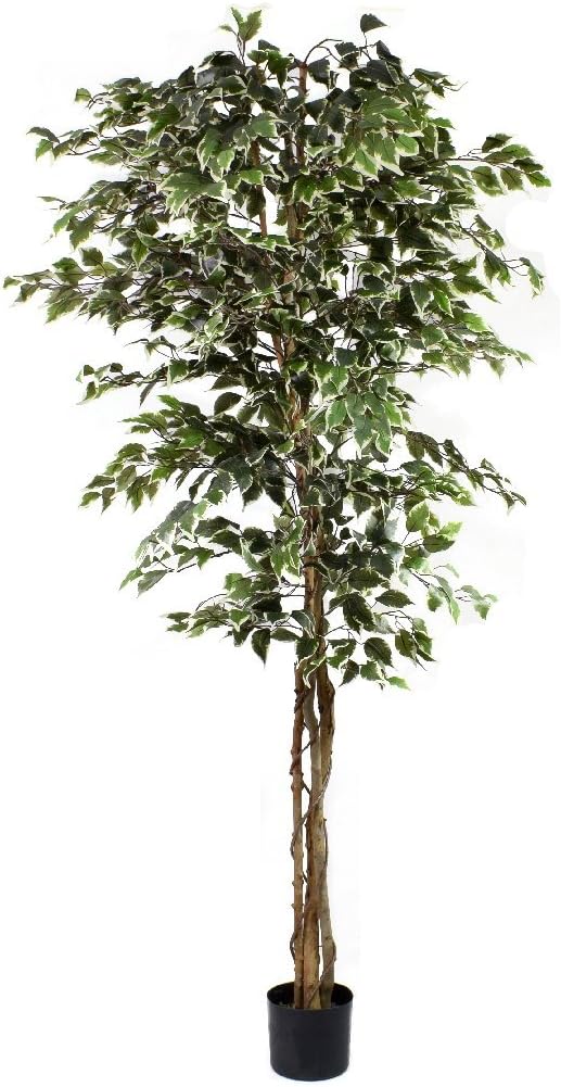 OloreHome Artificial Ficus Tree Variegated 7ft / 210cm