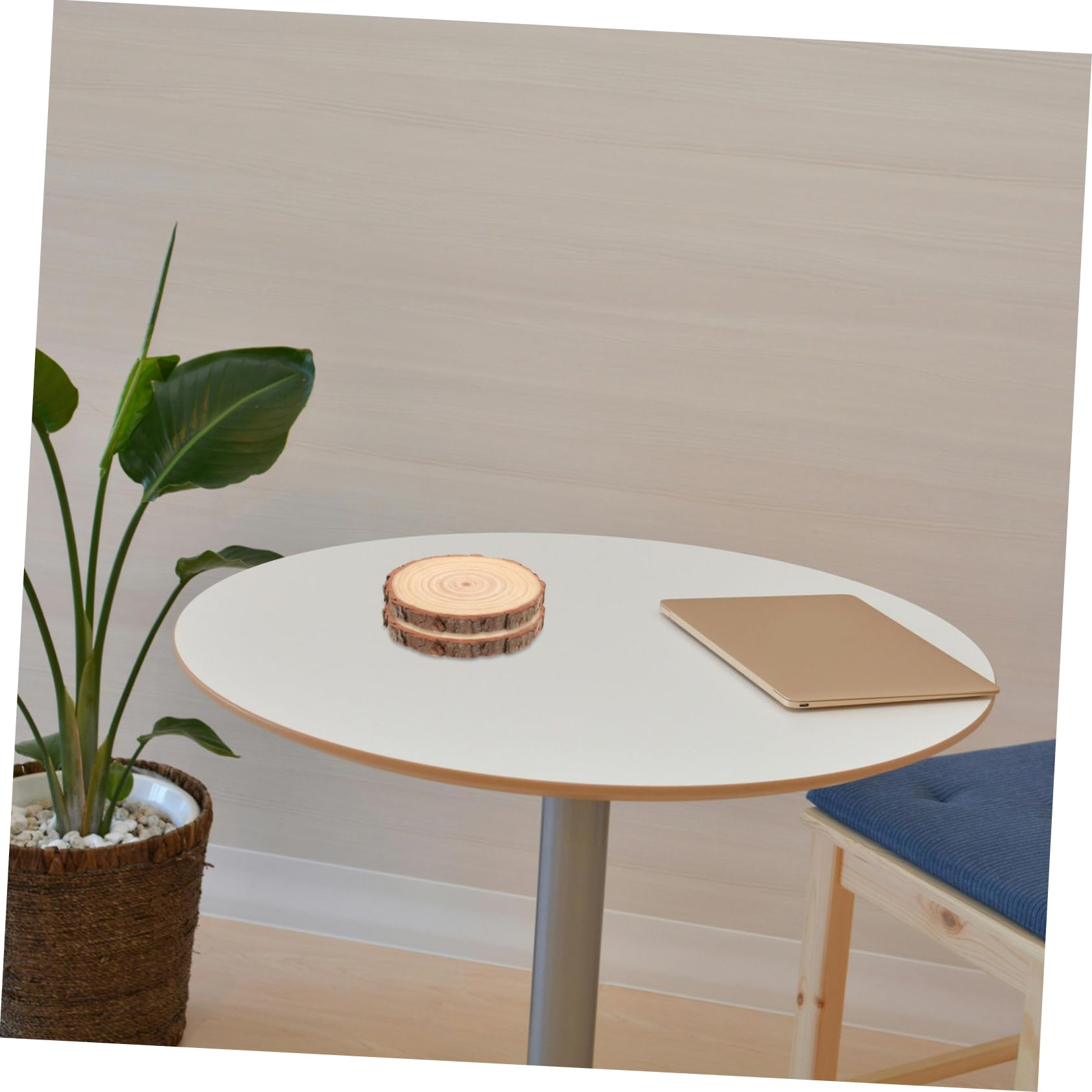 SHINEOFI 12piezas Rodajas De Madera Sin Terminar Discos De Madera Para Decoración De Bodas Manualidades y De Mesa Grosor