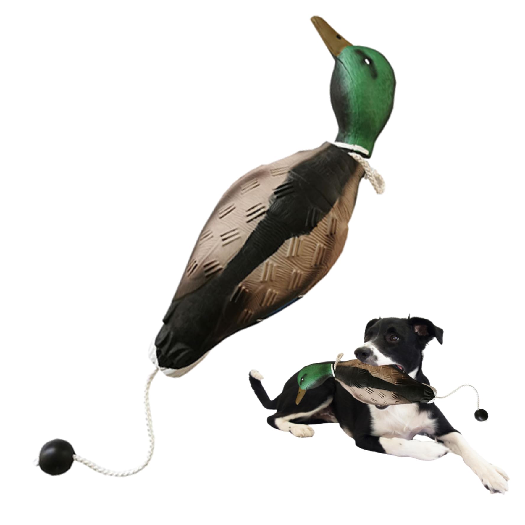 Jouet de dressage de chien pour l'entraînement en plein air