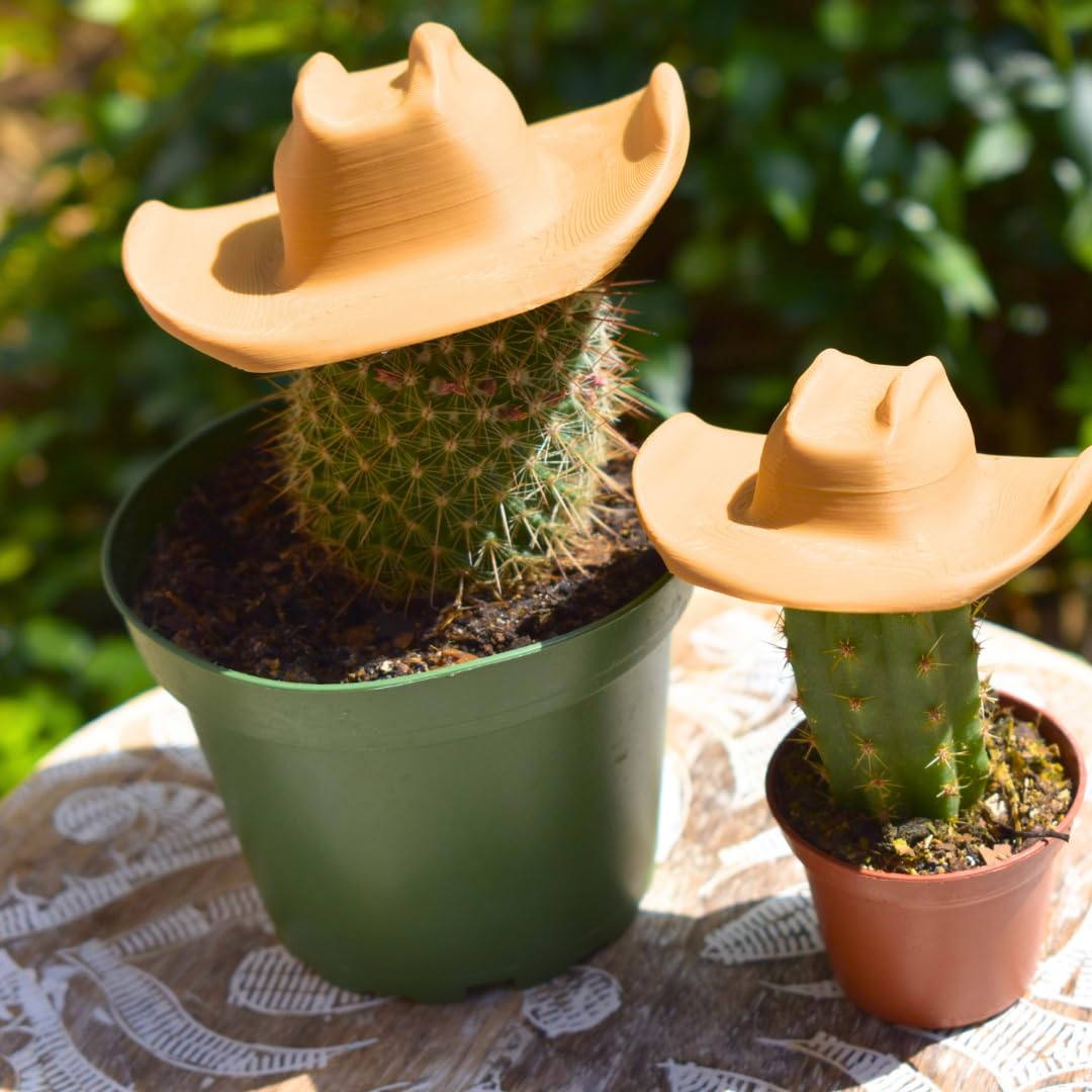 Amazon.com: Cactus Cowboy Hat | Decorate Cactus or Other Houseplants with  Cactus Cowboy Hat | Cactus Houseplant Decorations | Made in USA (Large) :  Clothing, Shoes & Jewelry