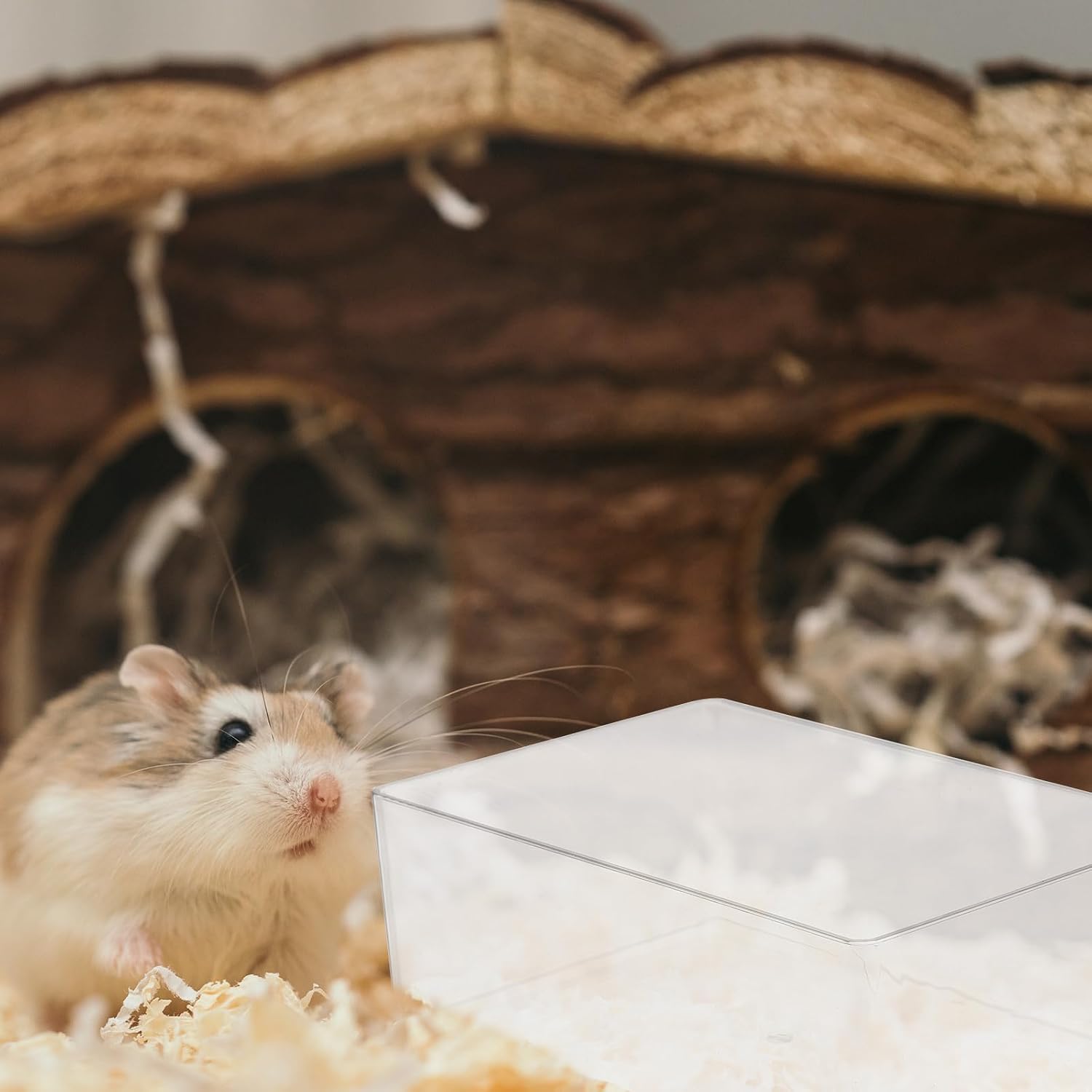 POPETPOP Hamster Sand Small Animal Sand-Bath Box Acrylic Clear Critters Shower Room Digging Sand Container for Dwarf Hamsters Gerbils Other Small Animal Bath