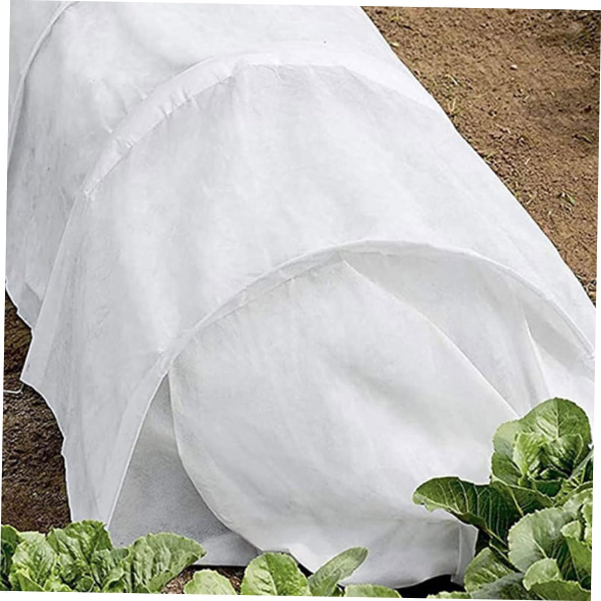 SHINEOFI Copertura Invernale Piante Telo Protettivo Non Tessuto Bianco | Isolante e Anti-gelo, per Piante e Arbusti Delicati, Copertura da Giardino per Stagione Fredda