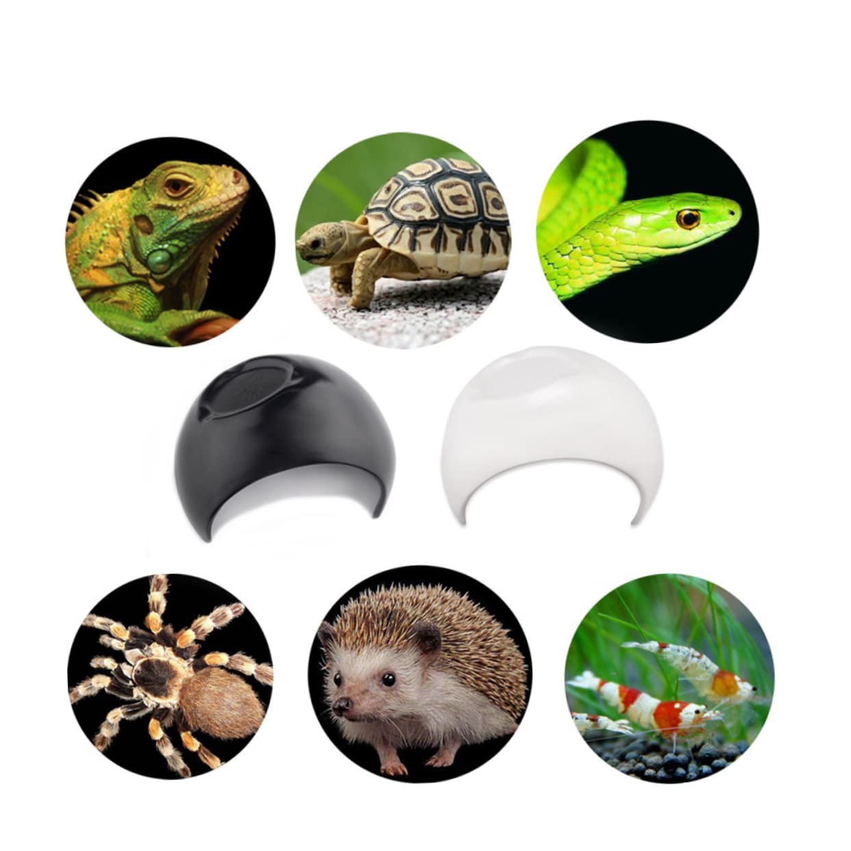 GALPADA Plastic Crawler Hide Cave for Small Pets Black Reptile House Aquarium Fish Tank Decor Habitat for Snakes and More Durable and Heat Resistant Design