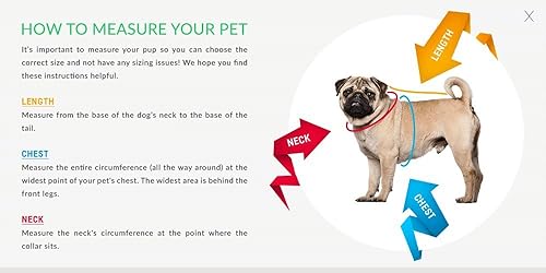 Miniatura 3 de NCAA Camiseta de manga corta para perros y gatos, camiseta deportiva duradera, 5 tamaños disponibles en más de 50 equipos escolares  Traje de