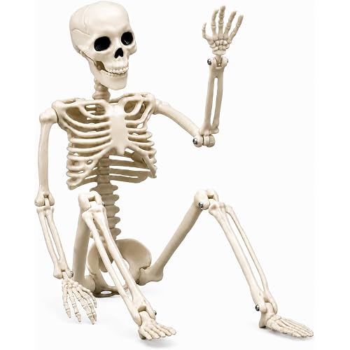 Halloween Skeleton Decorations Outdoor, 16" Plastic Posable Skeleton with Movable Joints, Small Creepy Scary Skeletons for Halloween Decor, Graveyard Haunted House Props