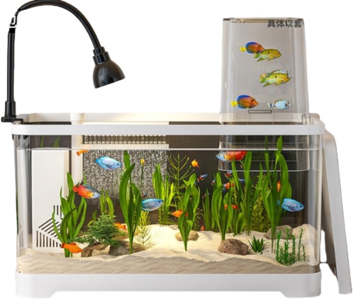 大型日本庭園風水槽 大型日本庭園風水槽 盆栽のある暮らし #ミニ盆栽 #